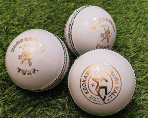 IPL Ball Price And Facts 2024